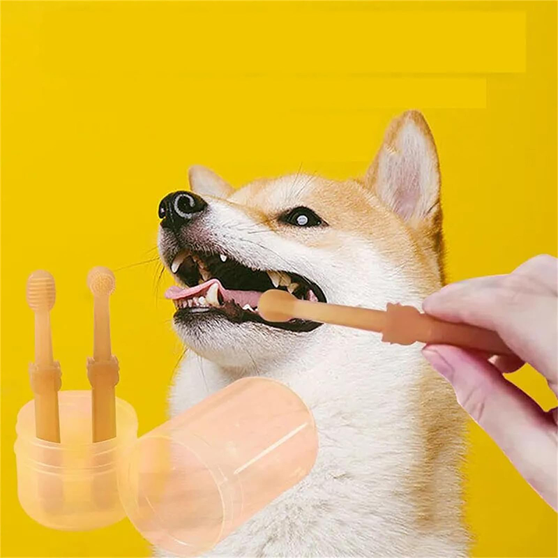 Zahnaufhellung für Hunde und K – Teeth Whitening Kit Bewertung und Preis